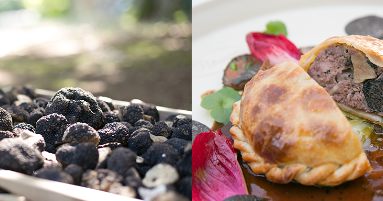 Le Restaurant Bruno, 1 étoile au Guide Michelin 2025, révèle les infinies saveurs de la truffe © Mélanie Retamar