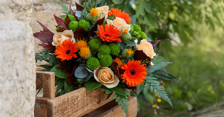 Landingpage_VisaPlatinum_Florajet_AH2526
