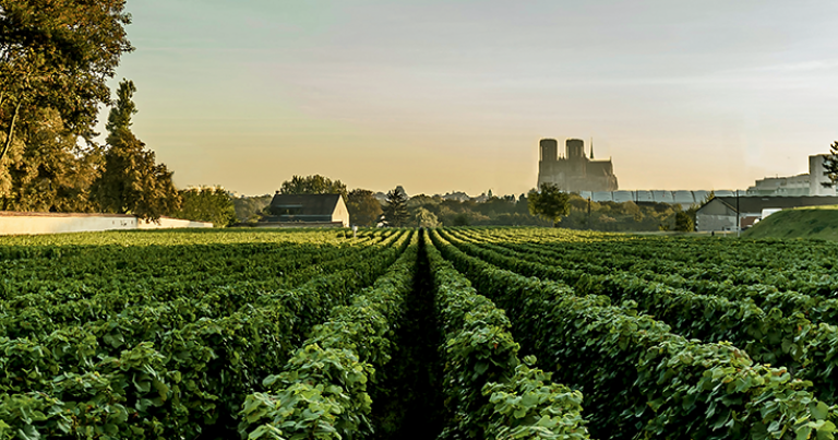 Le Clos Lanson à Reims © Champagne Lanson